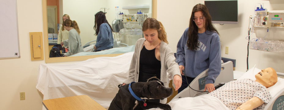 SFU students learning about animal-assisted interventions in a hospital setting
